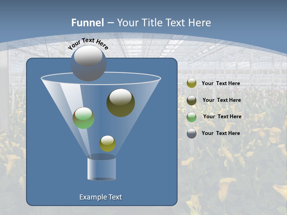 A Greenhouse Filled With Lots Of Yellow Flowers PowerPoint Template