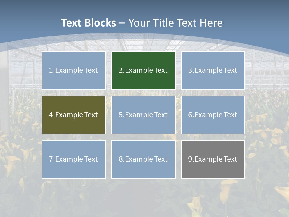 A Greenhouse Filled With Lots Of Yellow Flowers PowerPoint Template