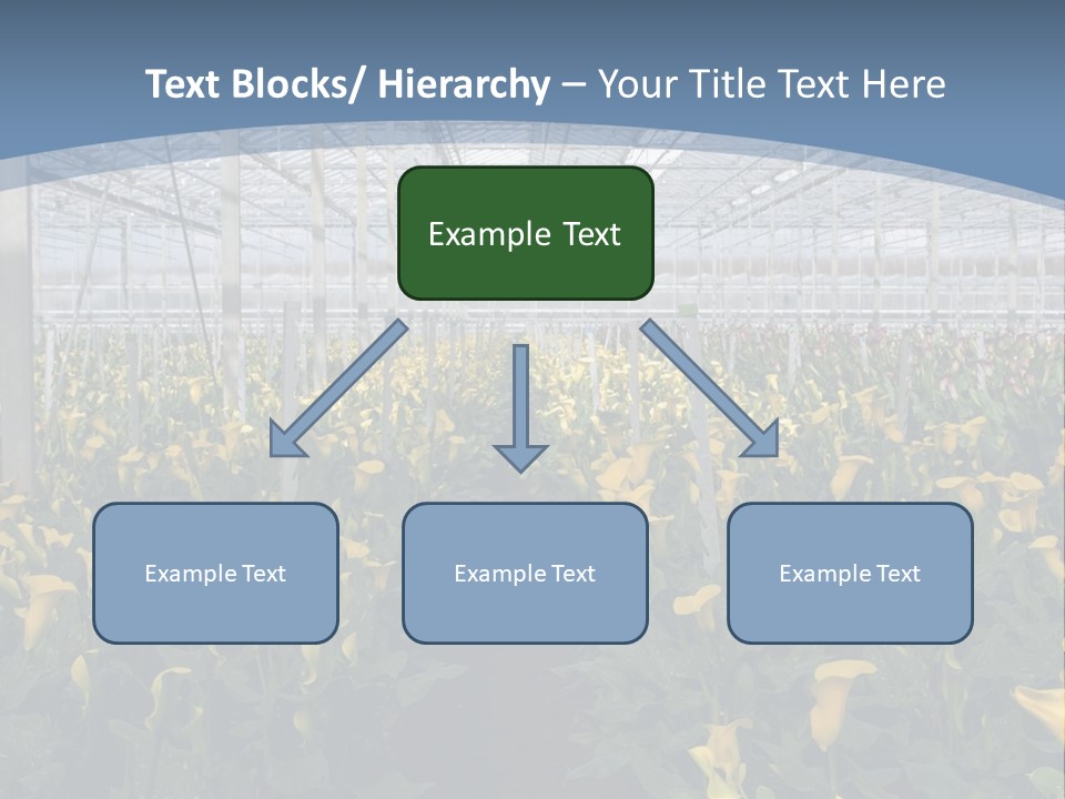 A Greenhouse Filled With Lots Of Yellow Flowers PowerPoint Template