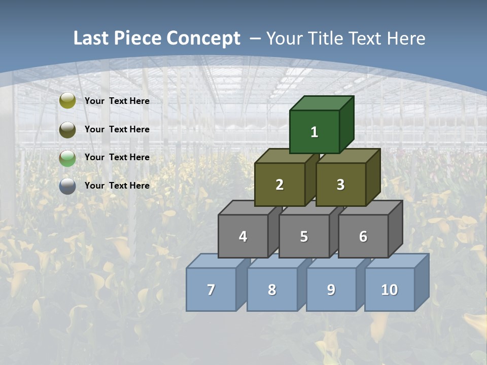 A Greenhouse Filled With Lots Of Yellow Flowers PowerPoint Template
