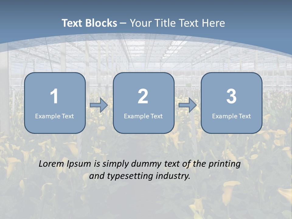 A Greenhouse Filled With Lots Of Yellow Flowers PowerPoint Template