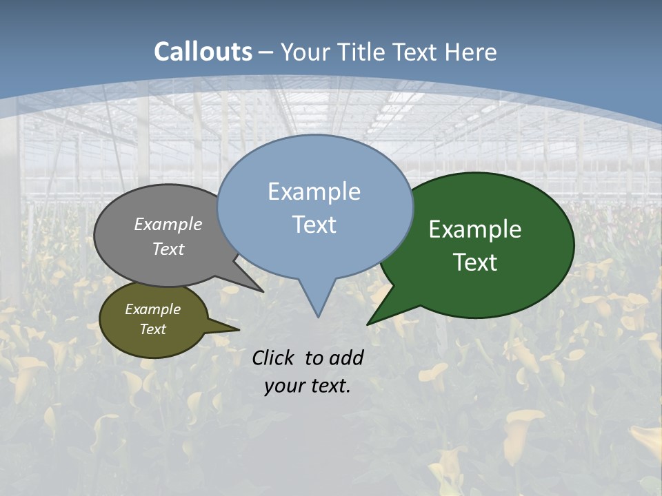 A Greenhouse Filled With Lots Of Yellow Flowers PowerPoint Template