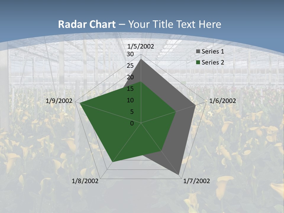 A Greenhouse Filled With Lots Of Yellow Flowers PowerPoint Template