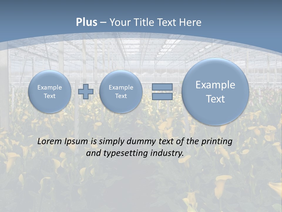 A Greenhouse Filled With Lots Of Yellow Flowers PowerPoint Template