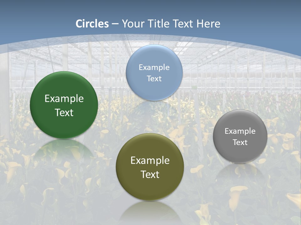 A Greenhouse Filled With Lots Of Yellow Flowers PowerPoint Template