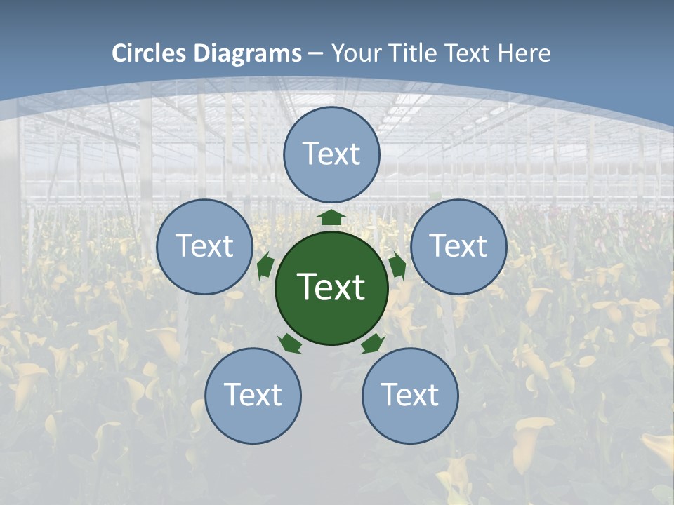 A Greenhouse Filled With Lots Of Yellow Flowers PowerPoint Template