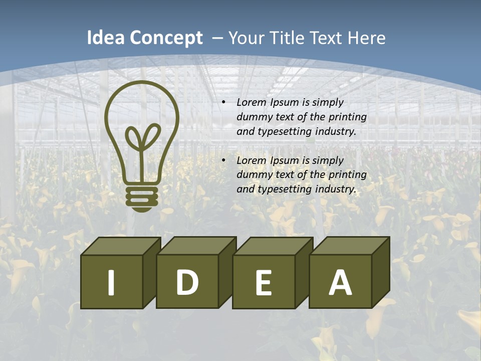A Greenhouse Filled With Lots Of Yellow Flowers PowerPoint Template