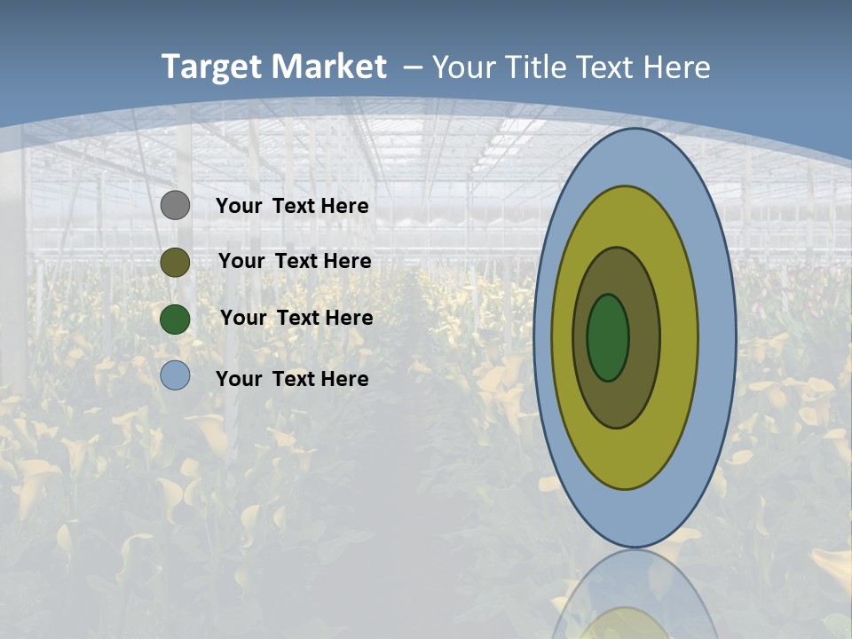 A Greenhouse Filled With Lots Of Yellow Flowers PowerPoint Template