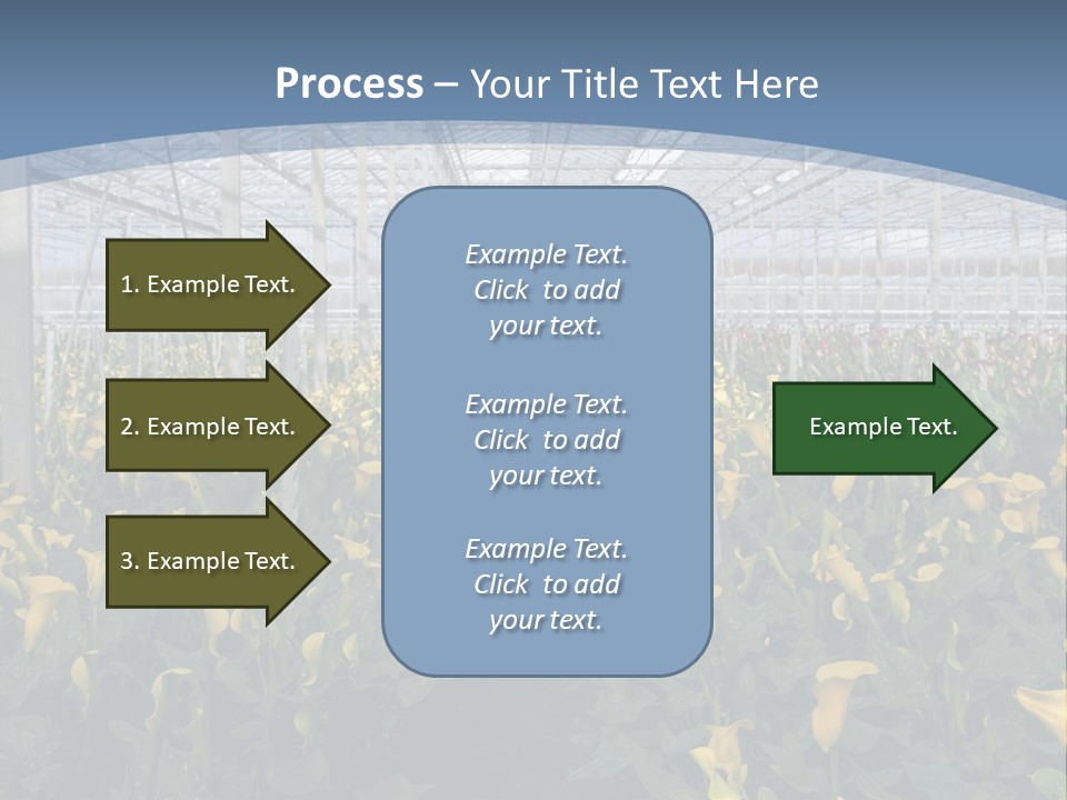 A Greenhouse Filled With Lots Of Yellow Flowers PowerPoint Template