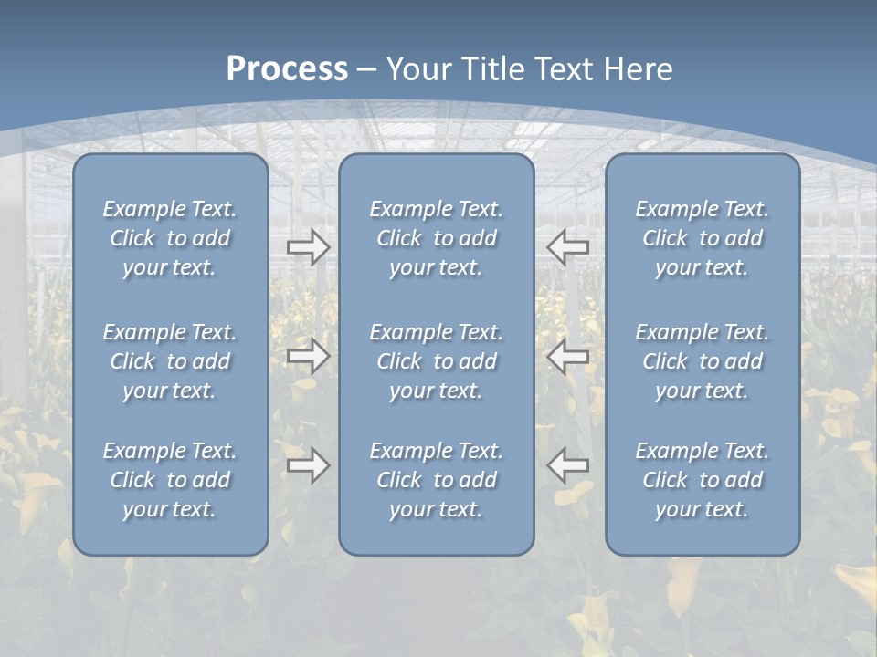 A Greenhouse Filled With Lots Of Yellow Flowers PowerPoint Template
