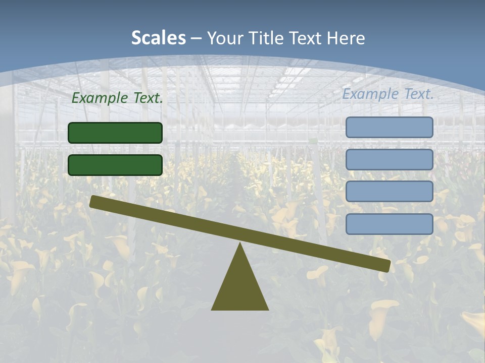A Greenhouse Filled With Lots Of Yellow Flowers PowerPoint Template