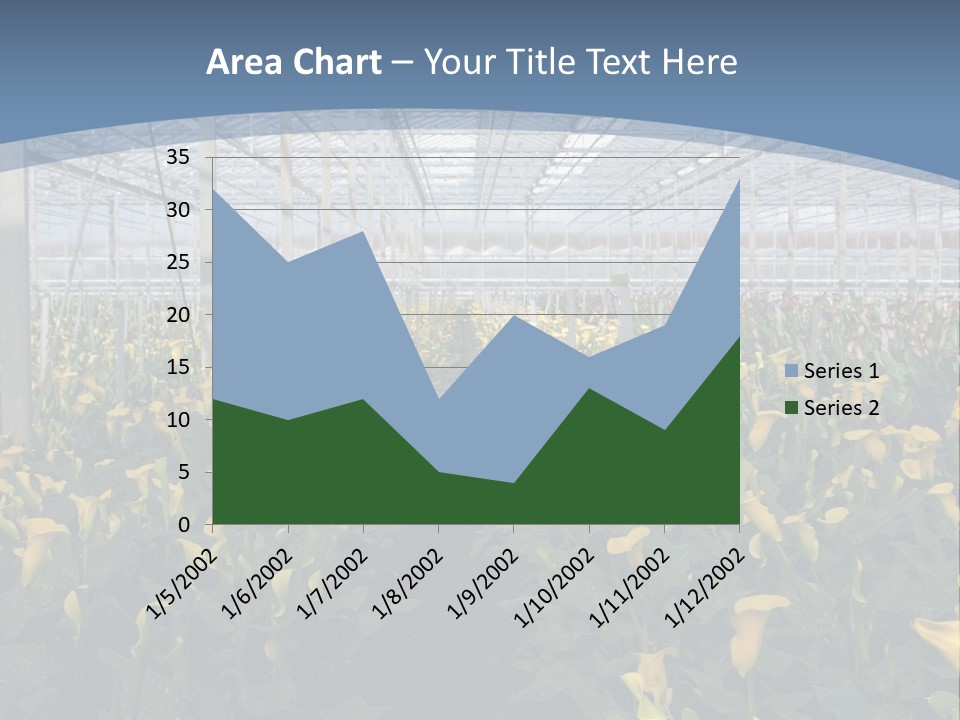 A Greenhouse Filled With Lots Of Yellow Flowers PowerPoint Template