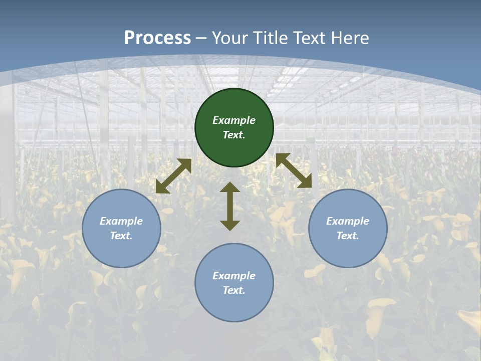 A Greenhouse Filled With Lots Of Yellow Flowers PowerPoint Template