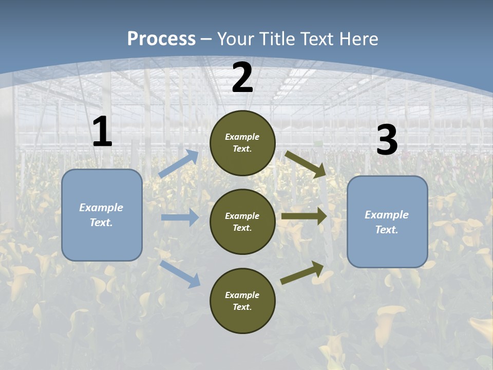 A Greenhouse Filled With Lots Of Yellow Flowers PowerPoint Template