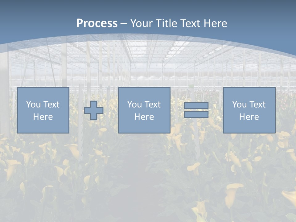 A Greenhouse Filled With Lots Of Yellow Flowers PowerPoint Template