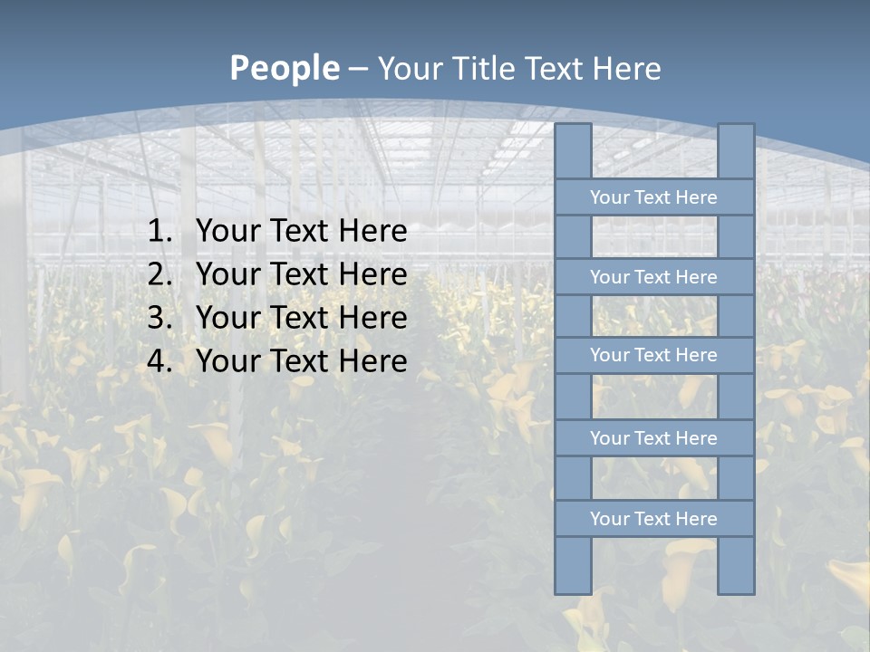 A Greenhouse Filled With Lots Of Yellow Flowers PowerPoint Template