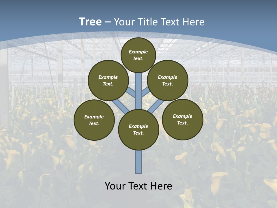A Greenhouse Filled With Lots Of Yellow Flowers PowerPoint Template