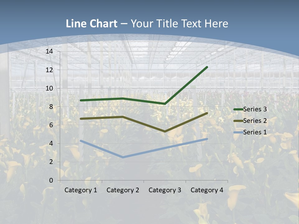 A Greenhouse Filled With Lots Of Yellow Flowers PowerPoint Template