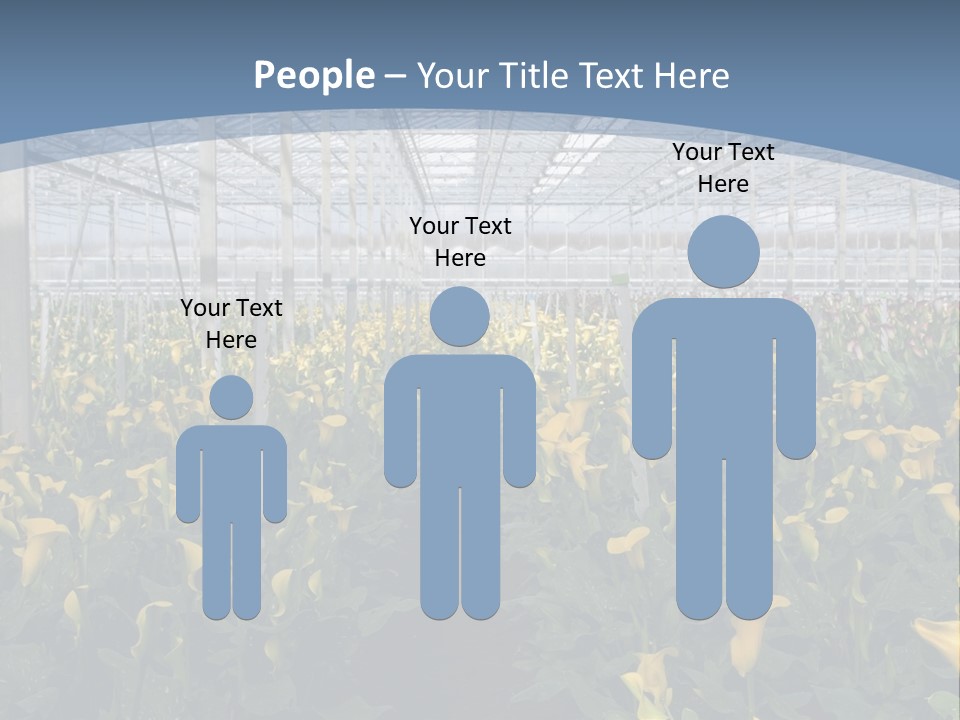 A Greenhouse Filled With Lots Of Yellow Flowers PowerPoint Template