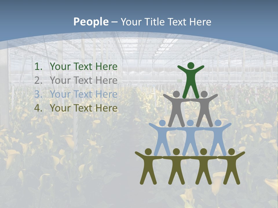 A Greenhouse Filled With Lots Of Yellow Flowers PowerPoint Template