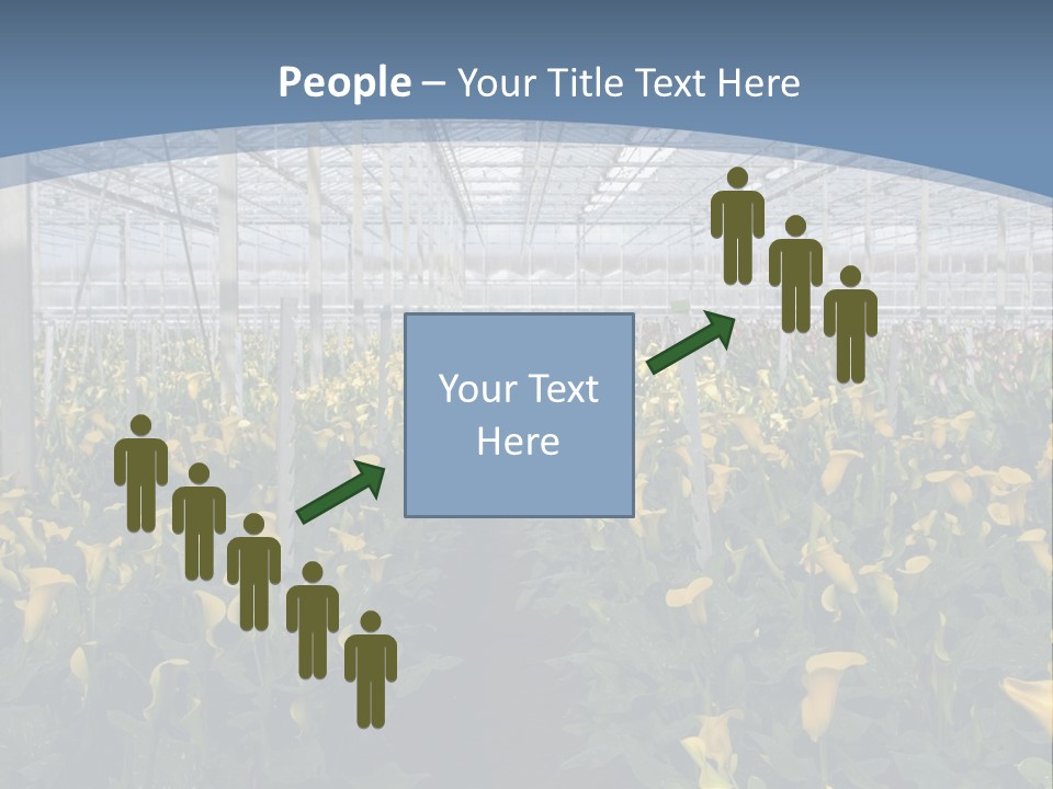 A Greenhouse Filled With Lots Of Yellow Flowers PowerPoint Template