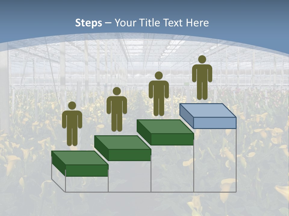 A Greenhouse Filled With Lots Of Yellow Flowers PowerPoint Template