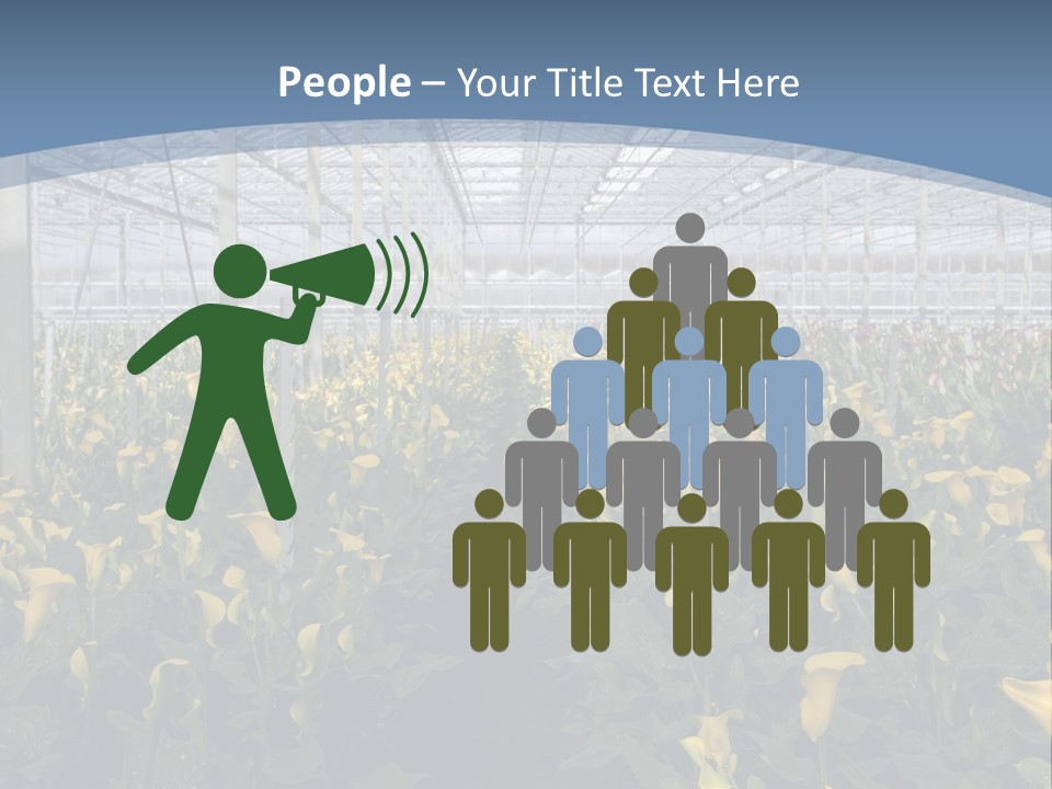 A Greenhouse Filled With Lots Of Yellow Flowers PowerPoint Template