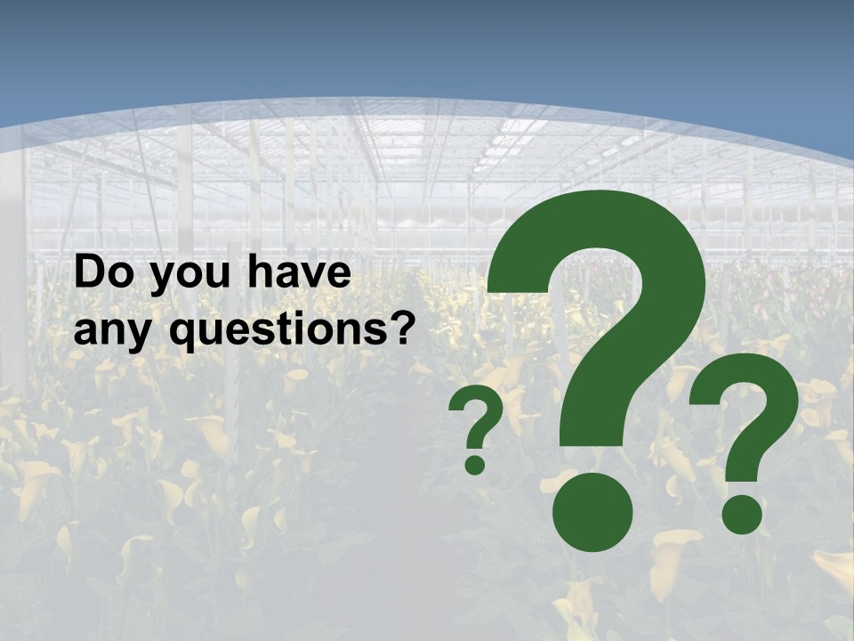 A Greenhouse Filled With Lots Of Yellow Flowers PowerPoint Template