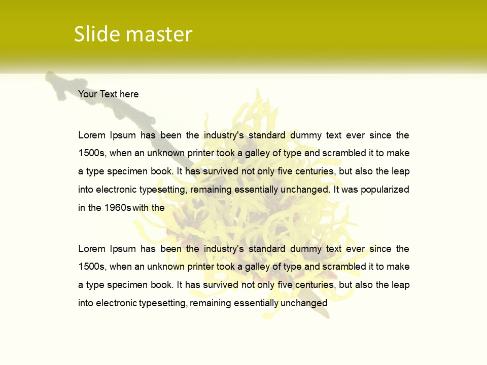 A Yellow Flower With A White Background PowerPoint Template