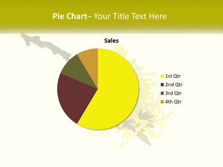 A Yellow Flower With A White Background PowerPoint Template