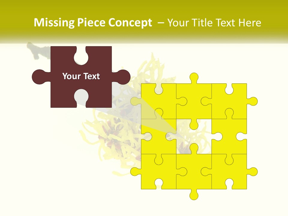 A Yellow Flower With A White Background PowerPoint Template