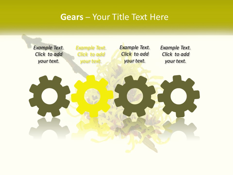 A Yellow Flower With A White Background PowerPoint Template