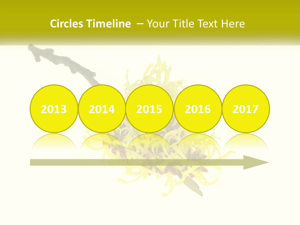 A Yellow Flower With A White Background PowerPoint Template