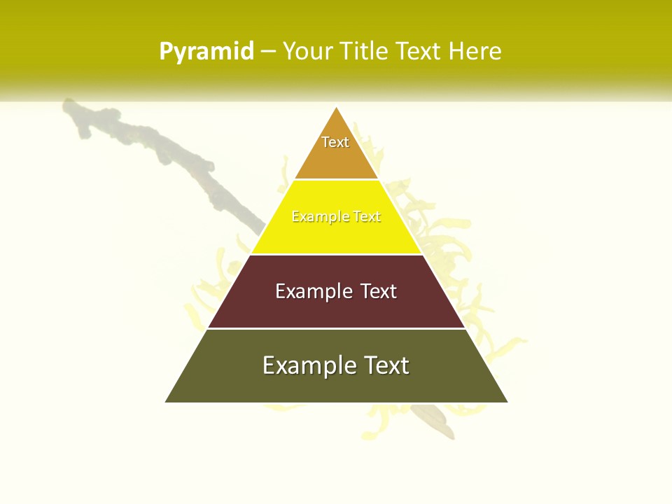 A Yellow Flower With A White Background PowerPoint Template