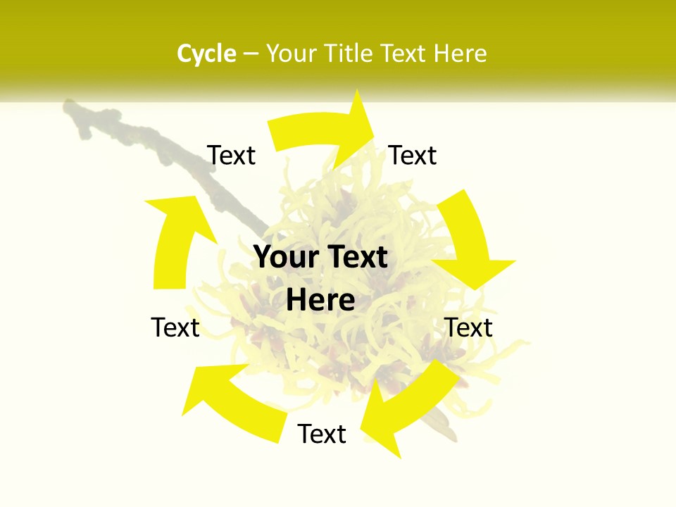 A Yellow Flower With A White Background PowerPoint Template