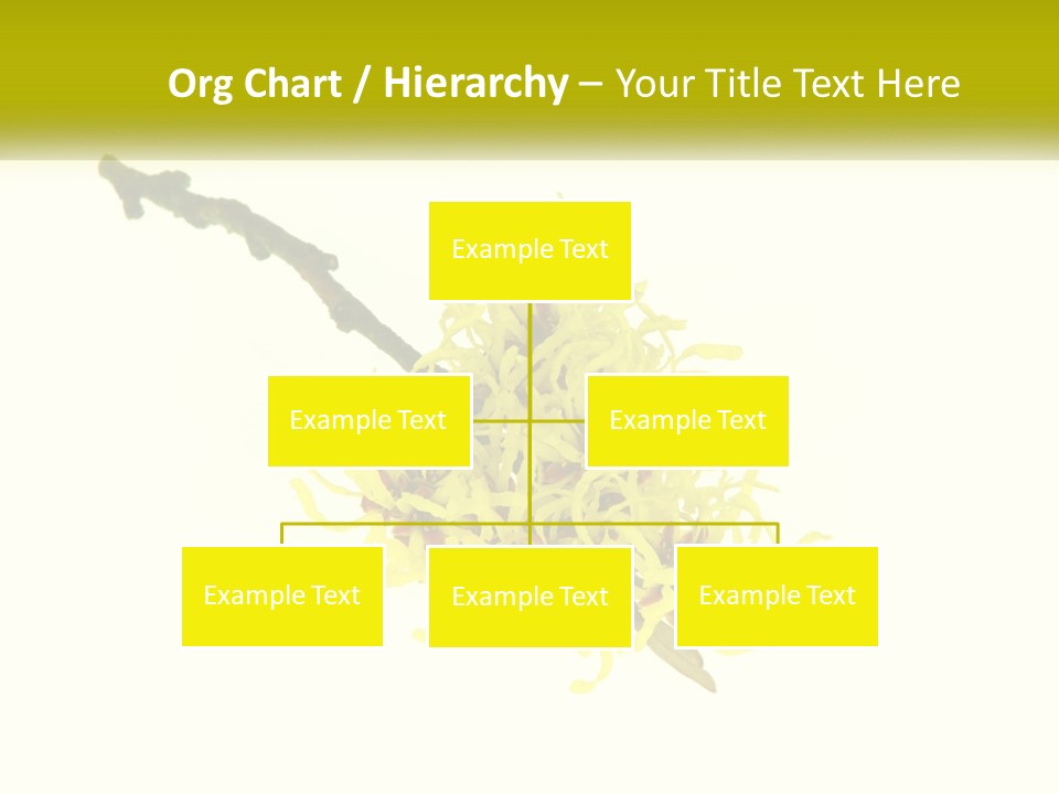 A Yellow Flower With A White Background PowerPoint Template