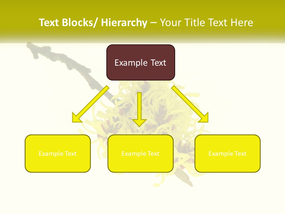 A Yellow Flower With A White Background PowerPoint Template