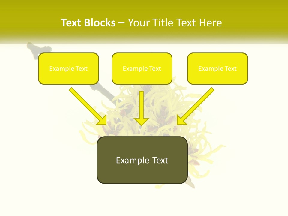 A Yellow Flower With A White Background PowerPoint Template