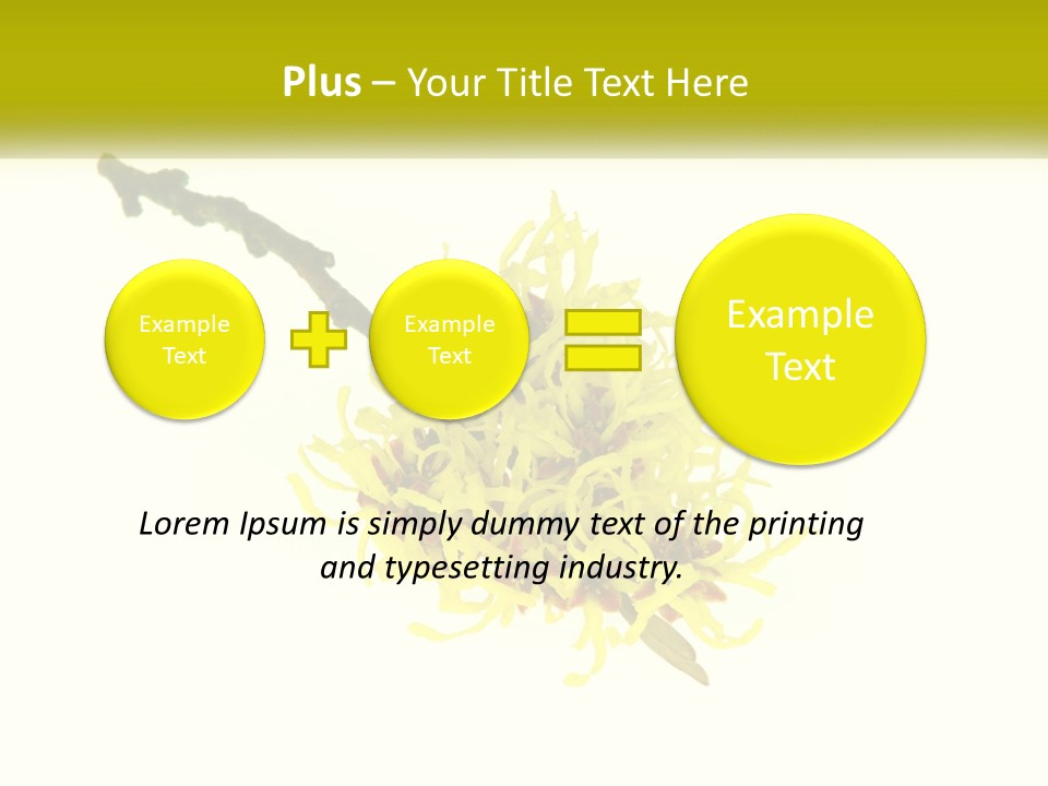 A Yellow Flower With A White Background PowerPoint Template
