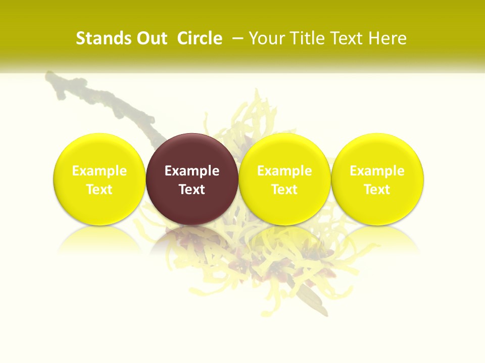 A Yellow Flower With A White Background PowerPoint Template