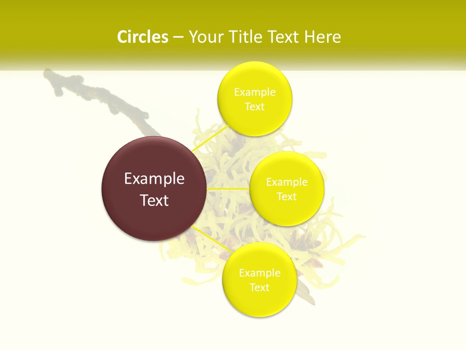 A Yellow Flower With A White Background PowerPoint Template