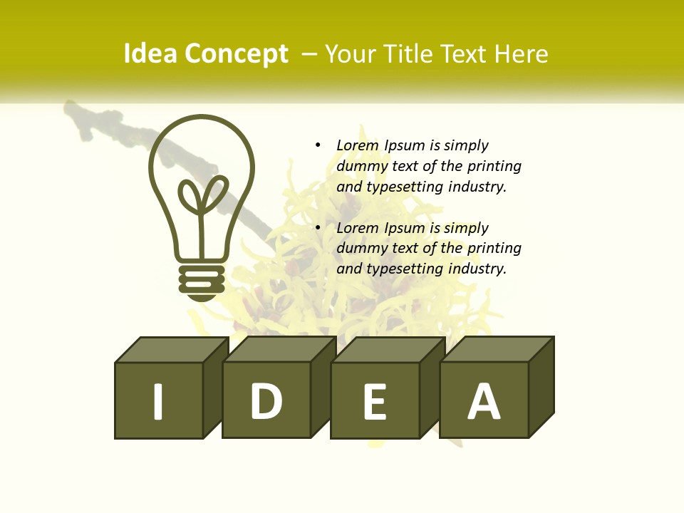 A Yellow Flower With A White Background PowerPoint Template