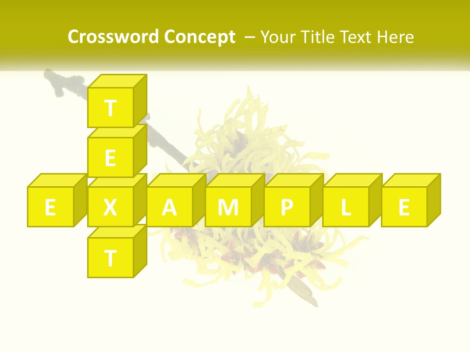 A Yellow Flower With A White Background PowerPoint Template