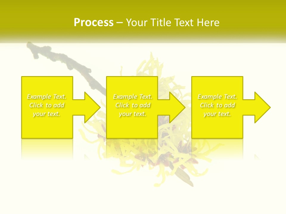 A Yellow Flower With A White Background PowerPoint Template