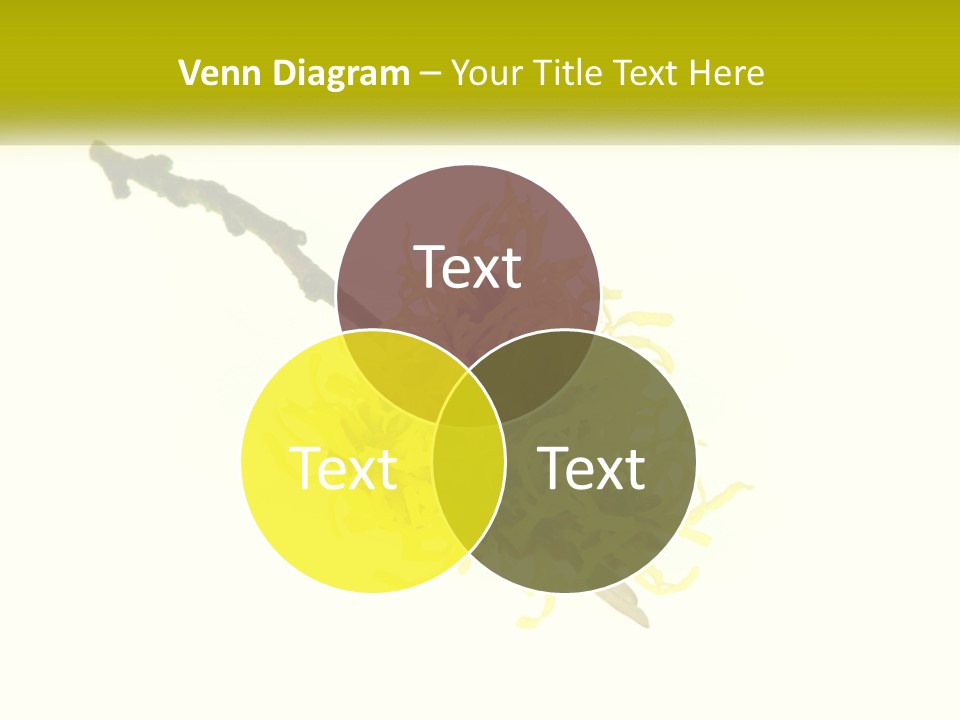 A Yellow Flower With A White Background PowerPoint Template