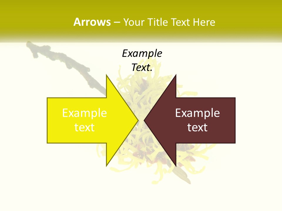 A Yellow Flower With A White Background PowerPoint Template