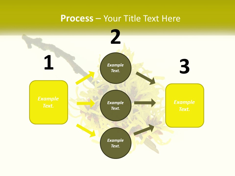 A Yellow Flower With A White Background PowerPoint Template