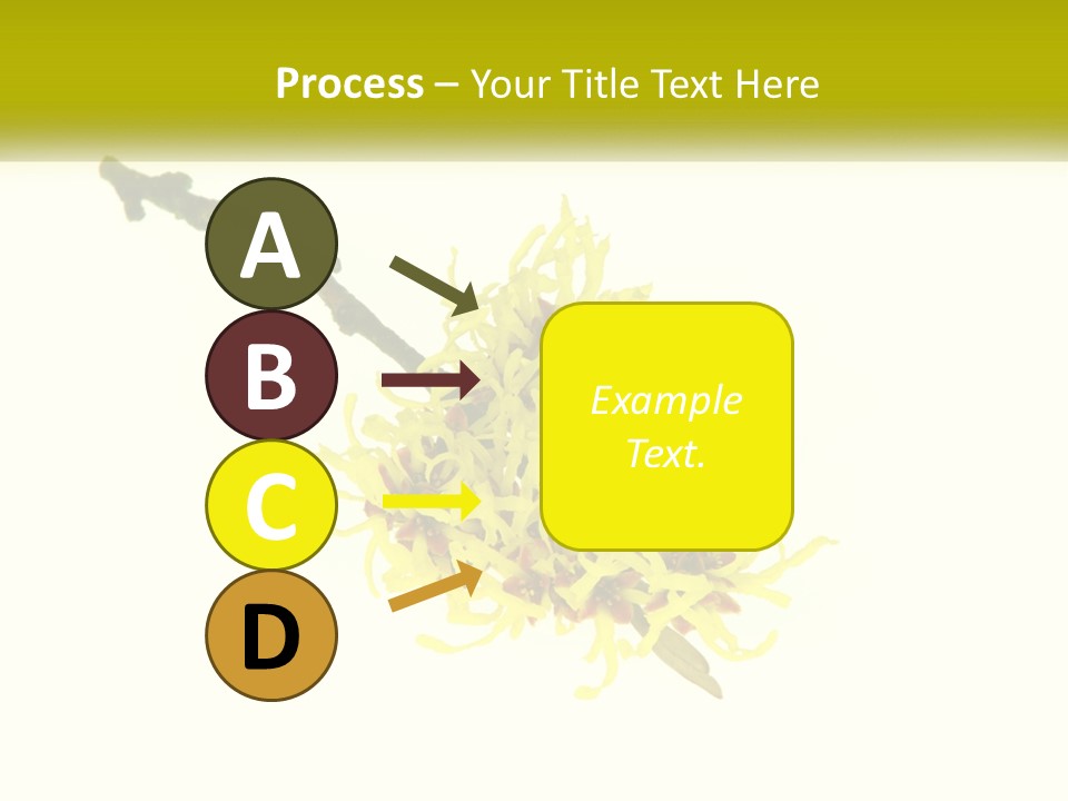 A Yellow Flower With A White Background PowerPoint Template