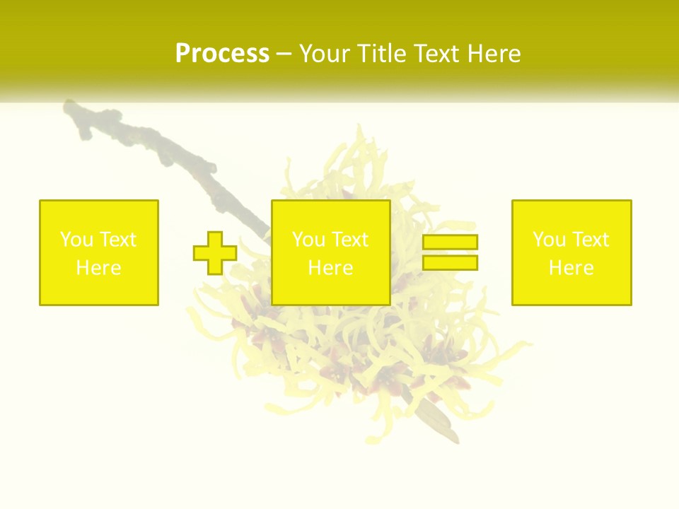 A Yellow Flower With A White Background PowerPoint Template