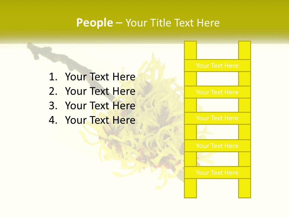 A Yellow Flower With A White Background PowerPoint Template